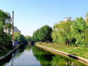方块大战争与代餐粉市场新动态，聚焦最新版代餐粉市场趋势与价格解析——以159代餐粉为例