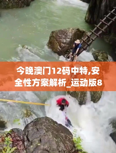 草率从事 第4页