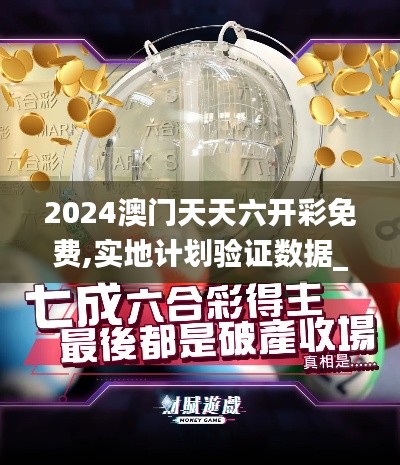 2024澳门天天六开彩免费,实地计划验证数据_豪华版3.764