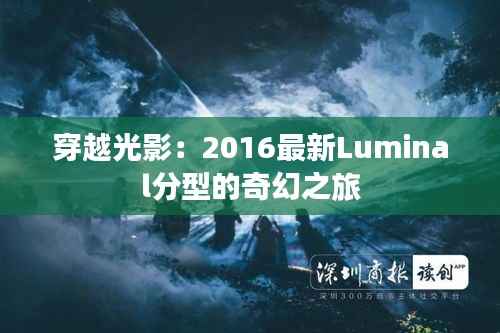金石为开 第3页