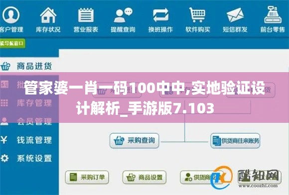管家婆一肖一码100中中,实地验证设计解析_手游版7.103