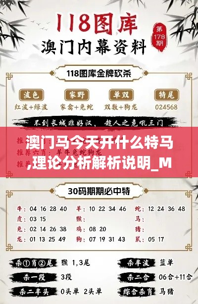 澳门马今天开什么特马,理论分析解析说明_Mixed3.304
