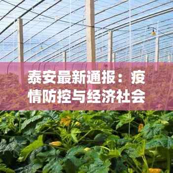 母以子贵 第2页