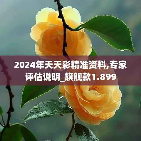 老死不相往来 第4页