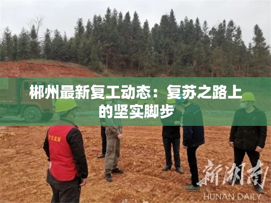 择善而从 第3页