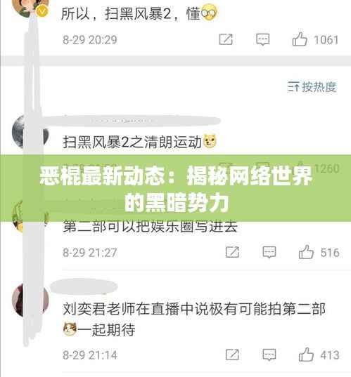 笨鸟先飞 第3页