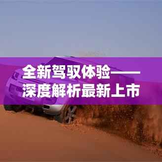 陈力就列 第3页
