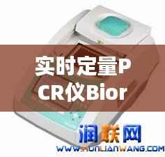 实时定量PCR仪Biorad：精准科研的得力助手