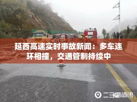 衣不兼采 第3页