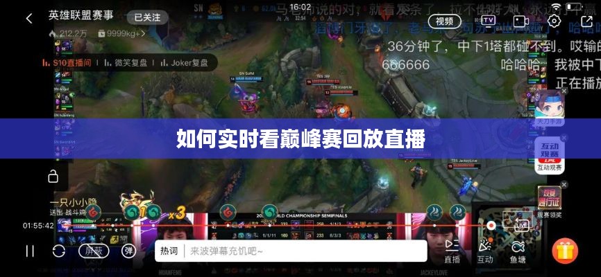 百鸟归巢 第3页