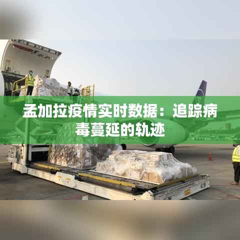 一石三鸟 第3页