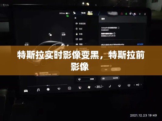 鸟飞兔走 第3页