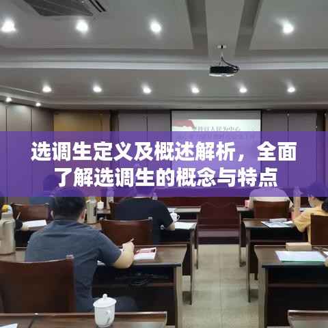 选调生定义及概述解析，全面了解选调生的概念与特点