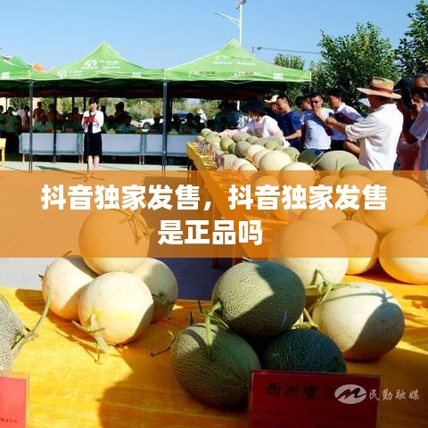 澹泊明志，宁静致远 第2页
