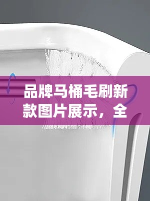 衣不兼彩 第3页