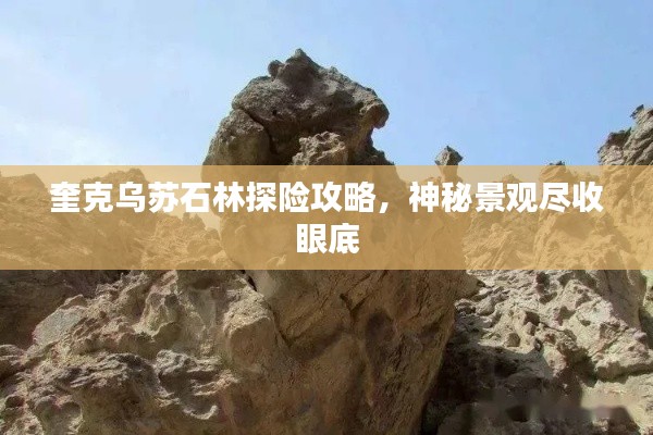 半截鸟木 第2页