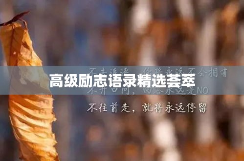 飞来横祸 第2页