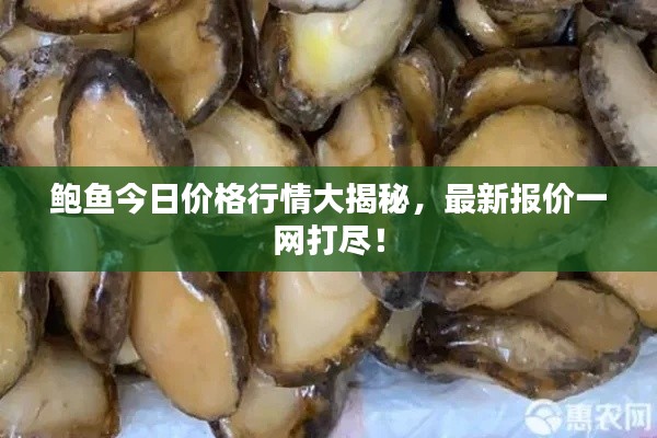 翰飞戾天 第2页