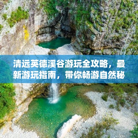 一石三鸟 第2页