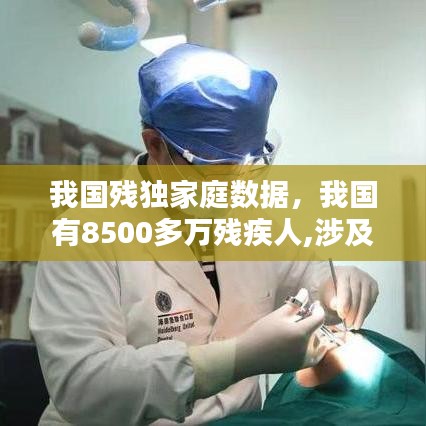 我国残独家庭数据，我国有8500多万残疾人,涉及7000多万个家庭 