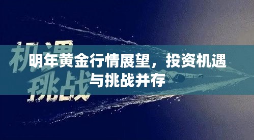 明年黄金行情展望，投资机遇与挑战并存