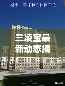 雍容雅步 第2页
