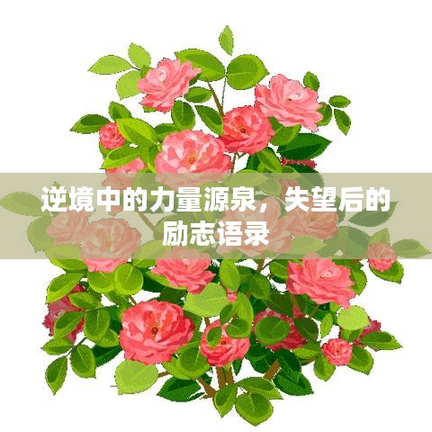 吉光片羽 第2页
