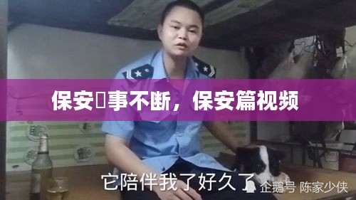 衣不兼采 第2页