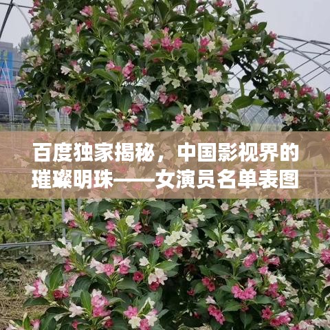 悬梁刺股