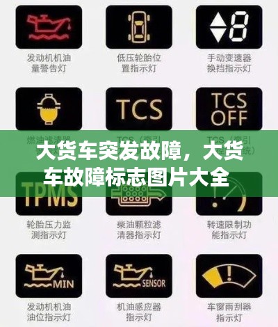 物以希为贵 第2页