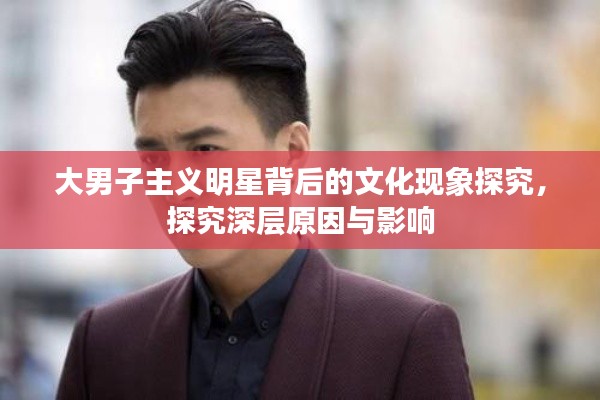 大男子主义明星背后的文化现象探究，探究深层原因与影响