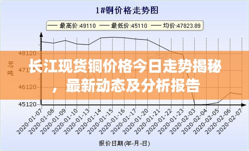 如鸟兽散